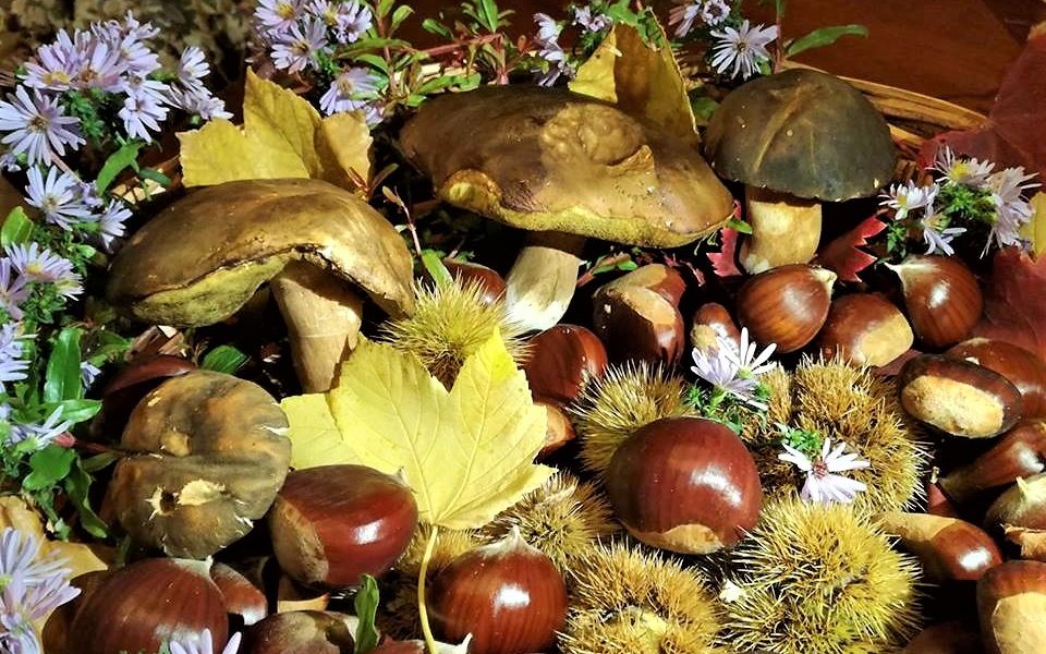 Sagra della castagna Roscetta
